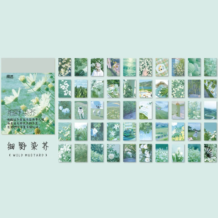 Scenic Colors Series